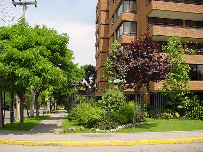 FLOR DE AZUCENAS